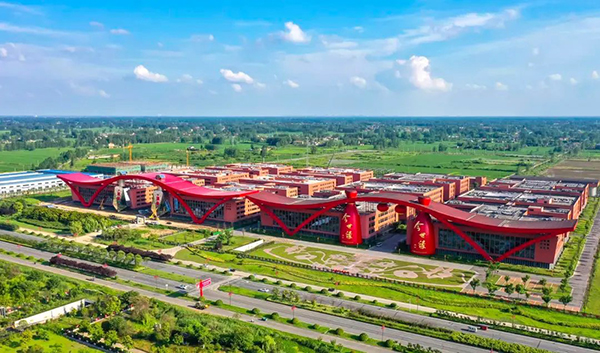 今世缘：2025上半年在缩量竞争中稳健发展